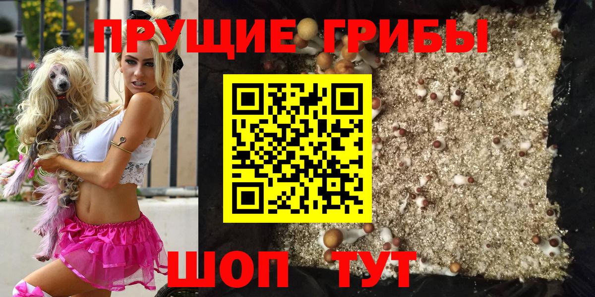 Псилоцибиновые грибы прущие грибы  Вход с VPN  Галлюциногенные грибы ЛСД  Выборг 